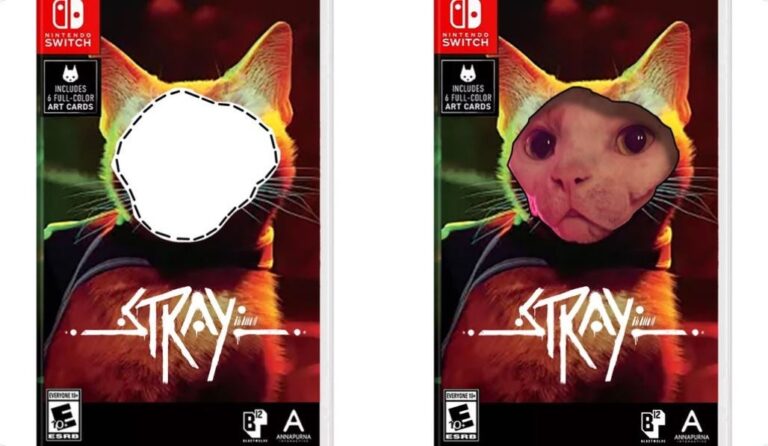 Coloque a foto do seu gato na capa de Stray