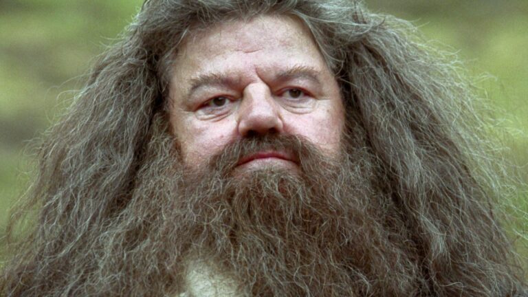 HBO aparentemente encontrou seu Hagrid para a série Harry Potter.