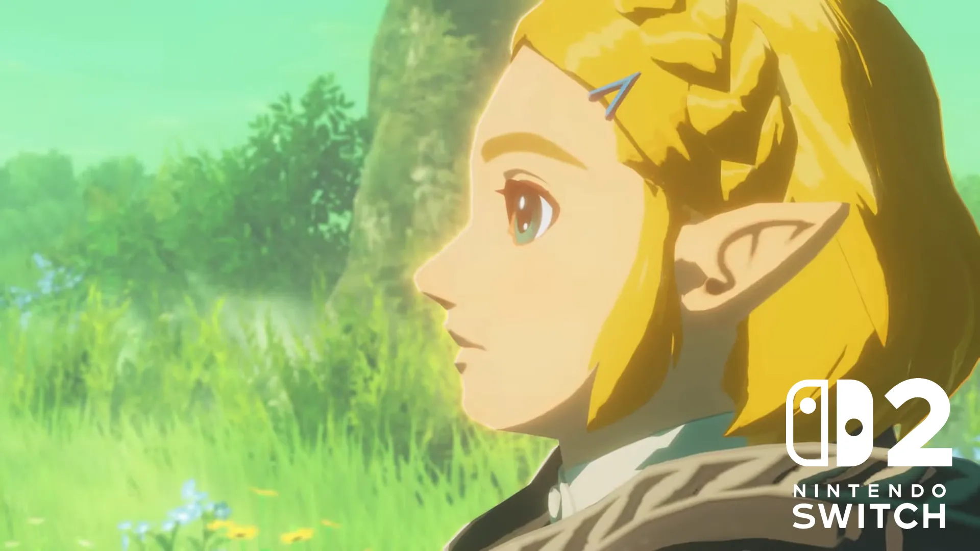 Hyrule Warriors: Age of Imprisonment