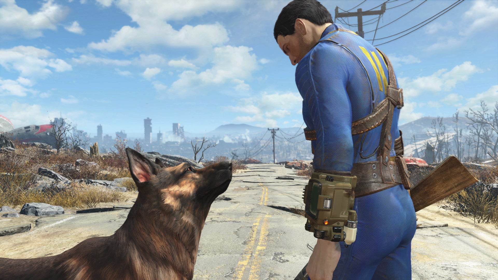 Dog in Fallout 4